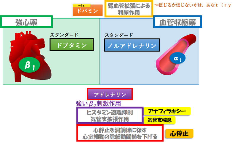 Pcpsの適応は簡単 実は2つだけ 循環器drぷーのコソ勉る む