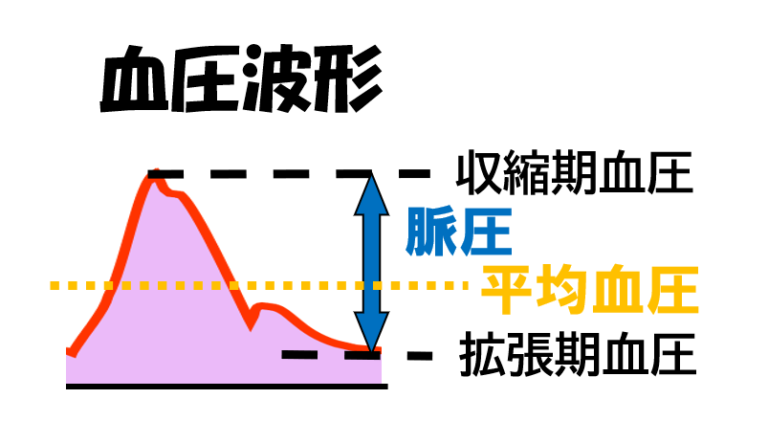収縮期と拡張期
