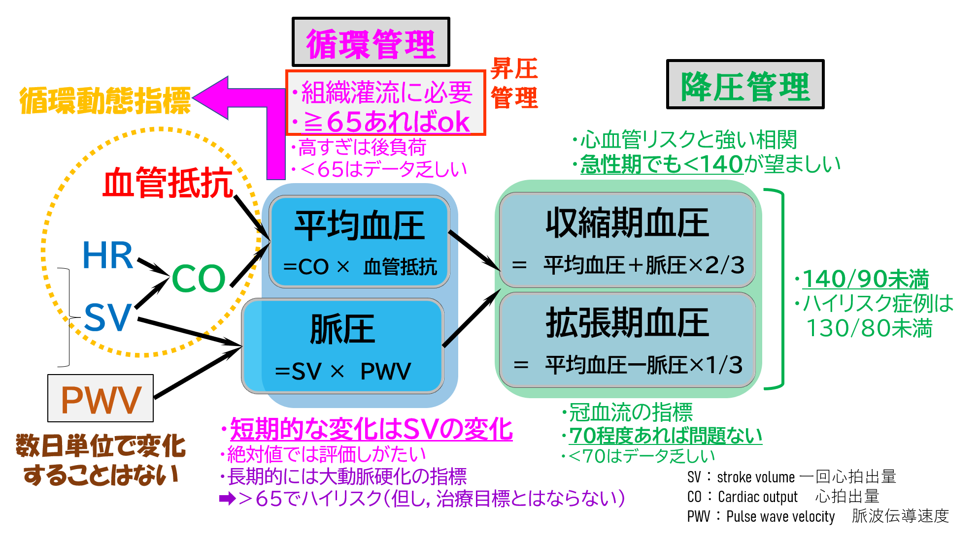 収縮期と拡張期